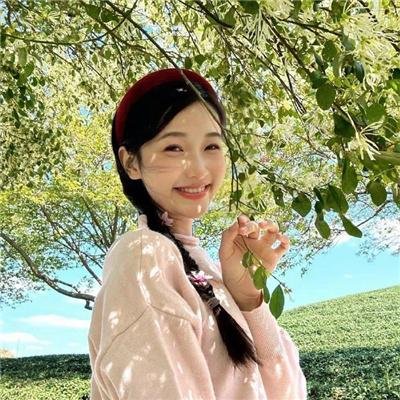 月之心